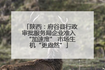 陕西：府谷县行政审批服务局企业准入“加速度” 市场生机“更盎然”